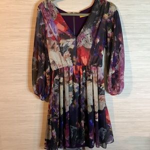 Alice & Olivia Designer Dress in XS